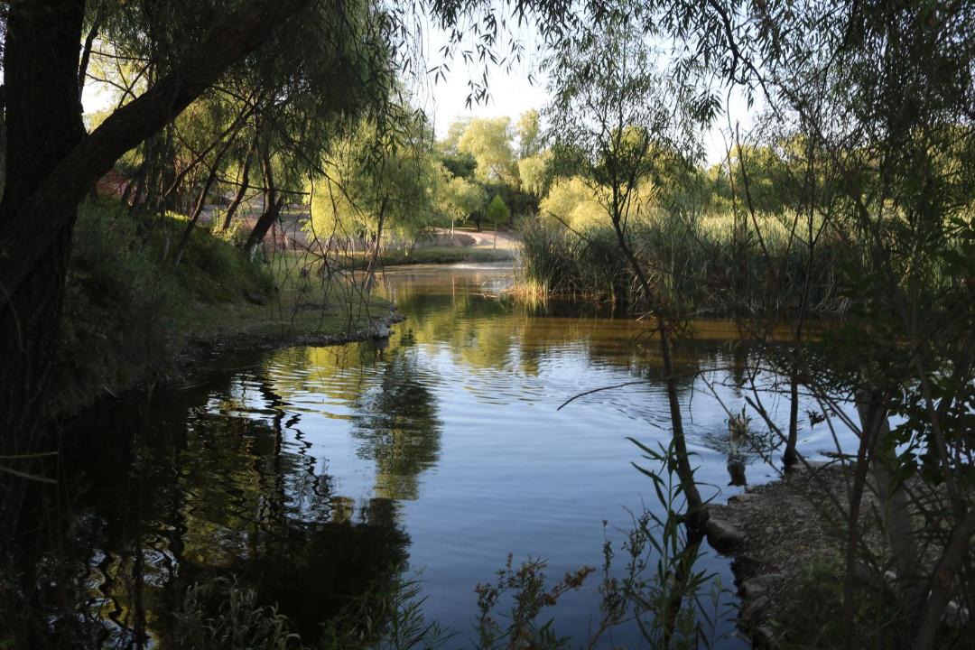 Photo of Outdoor in Pabellon de Arteaga