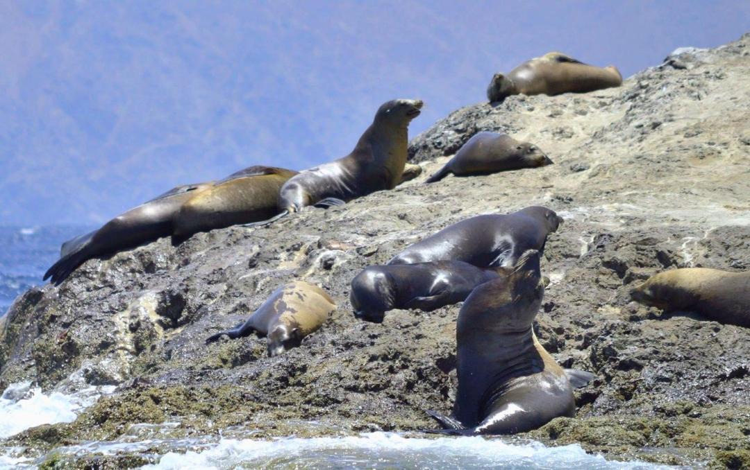 Photo of Others in La Paz