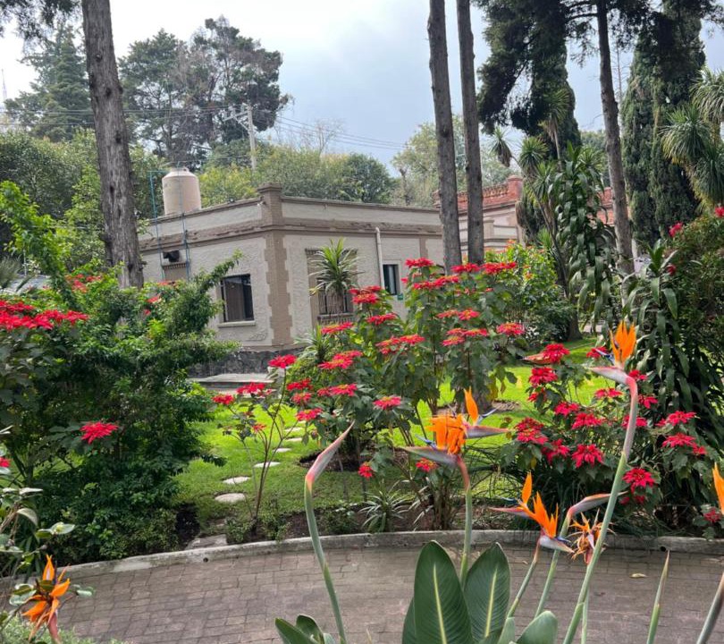 Photo of Others in Tlalpan