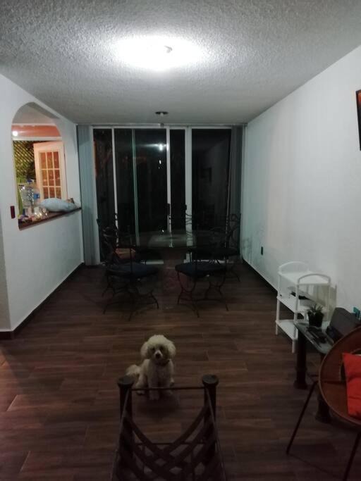 Photo of Others in Cuautla