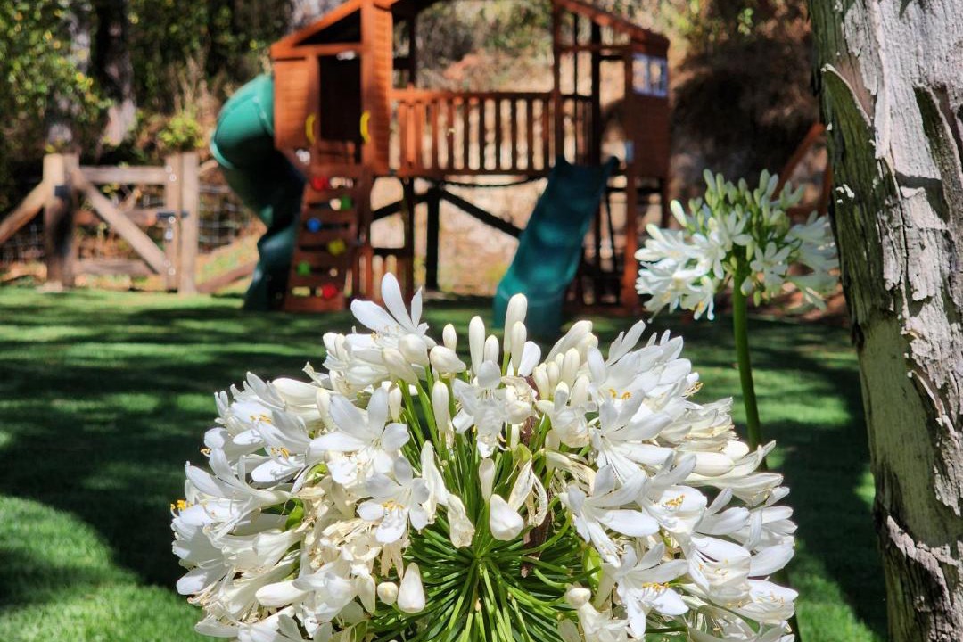 Photo of Outdoor in Tapalpa