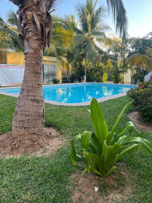 Photo of Others in Ixtapa