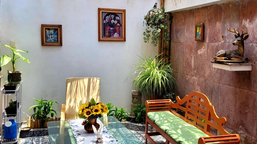 Photo of Others in Venustiano Carranza