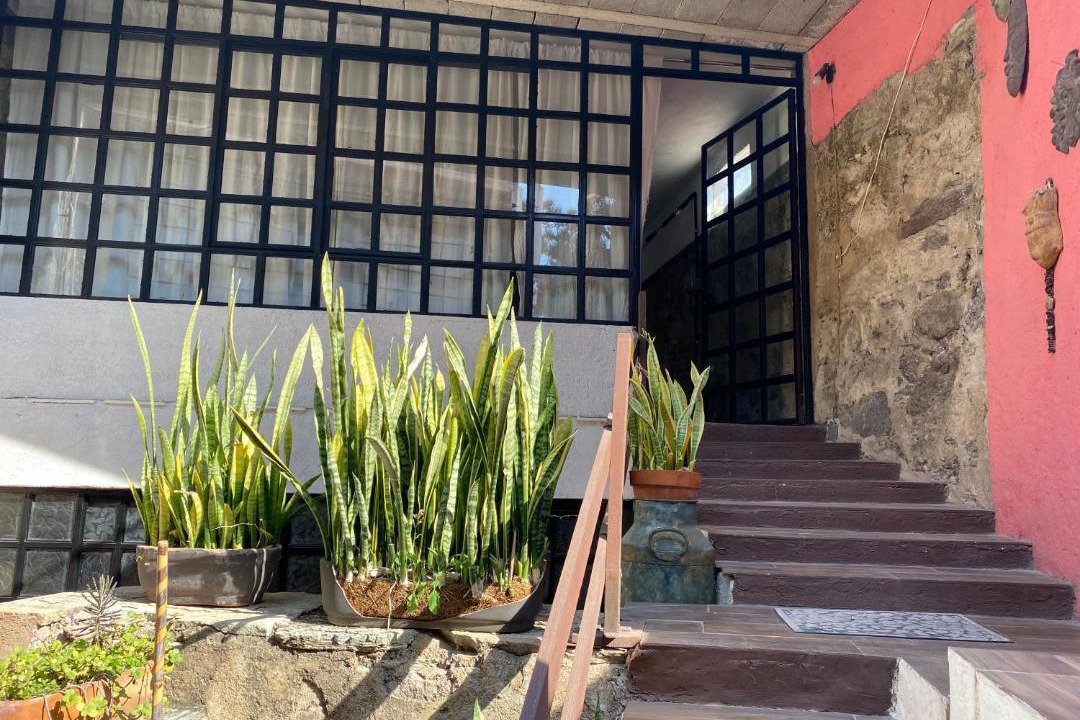 Photo of Others in Guanajuato