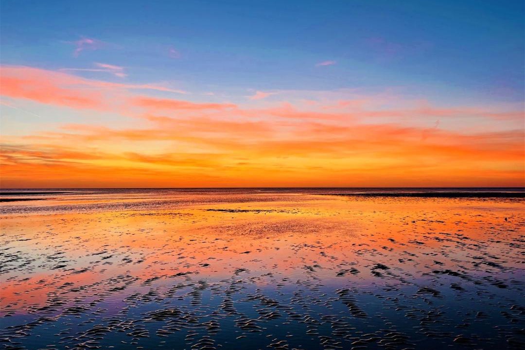 Photo of Outdoor in Laguna Shores