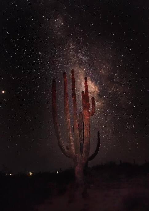 Photo of Others in San Felipe