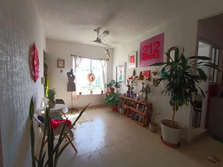 Photo of Livingroom in Puerto Juarez