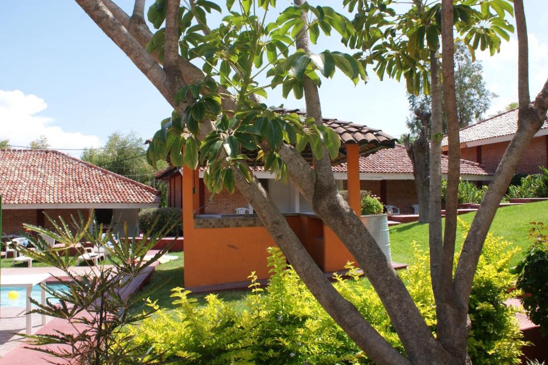 Photo of Others in Chapala