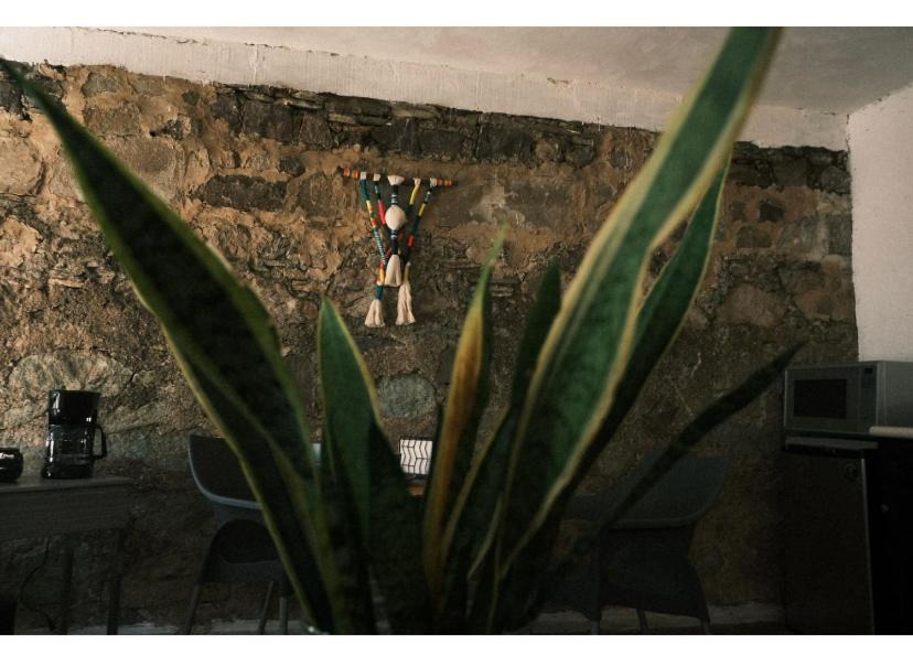 Photo of Buildings in Guanajuato