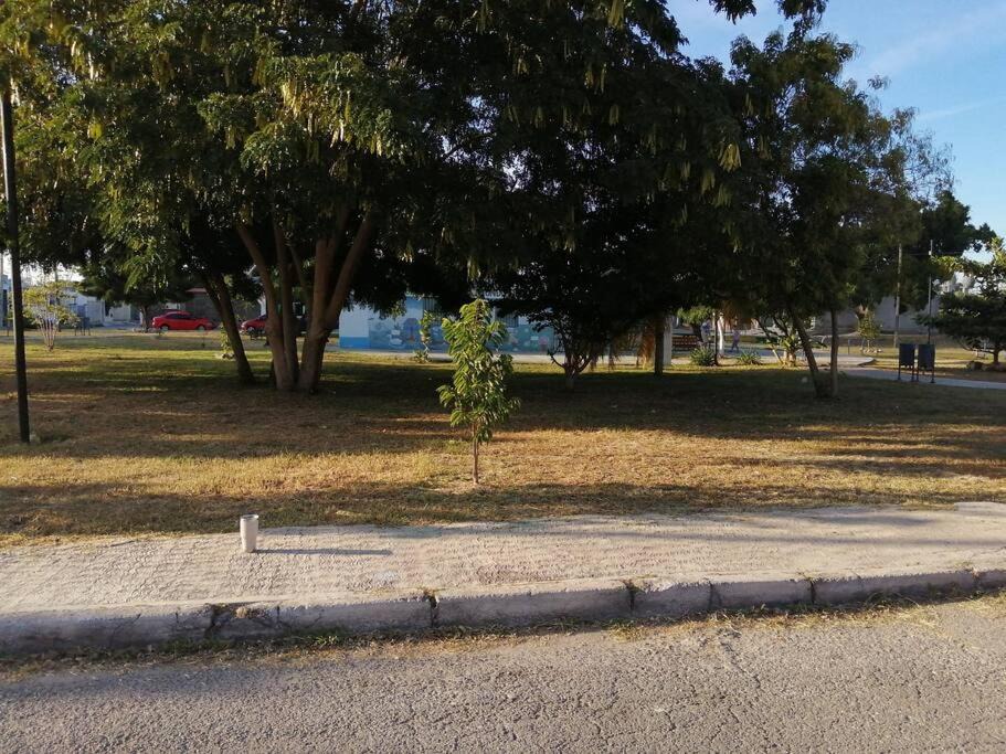Photo of Others in Merida