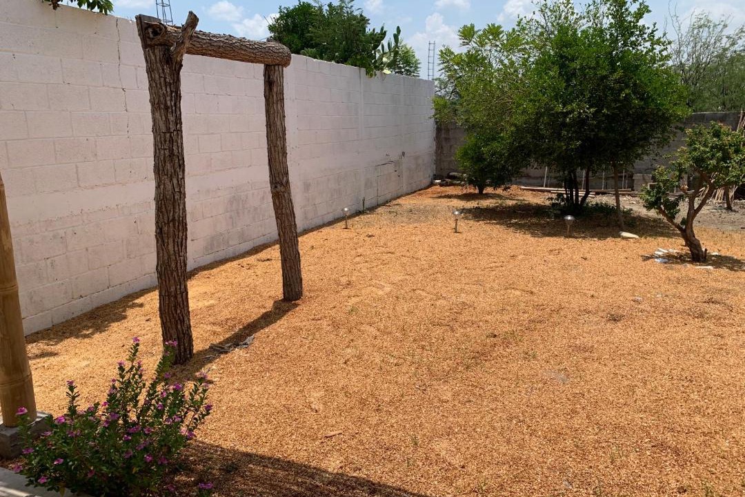 Photo of Buildings in Ciudad Valles