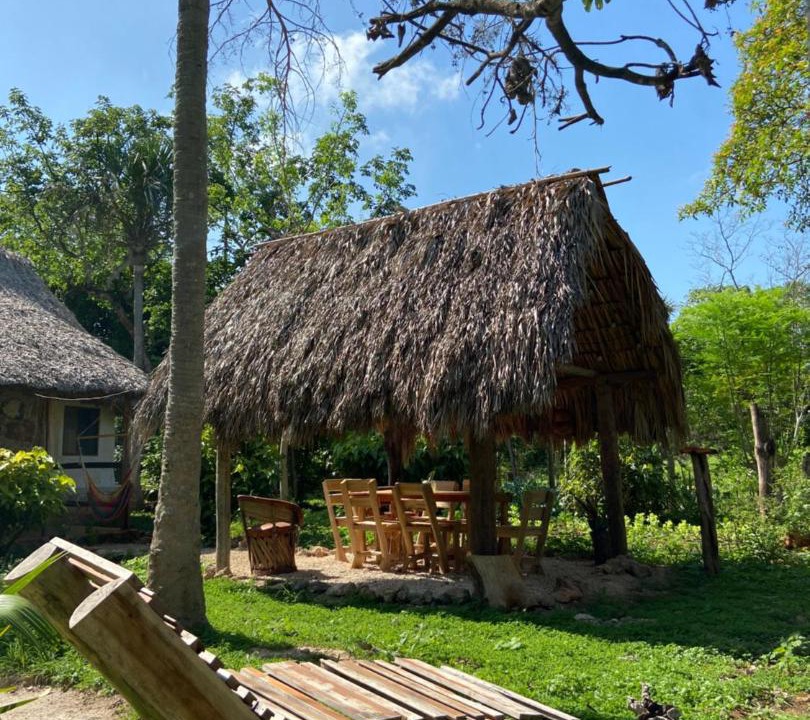 Photo of Others in Tzucacab