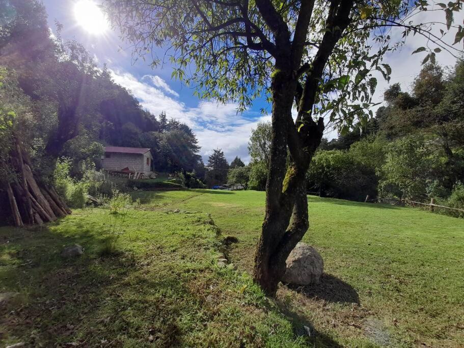 Photo of Others in Ocoyoacac