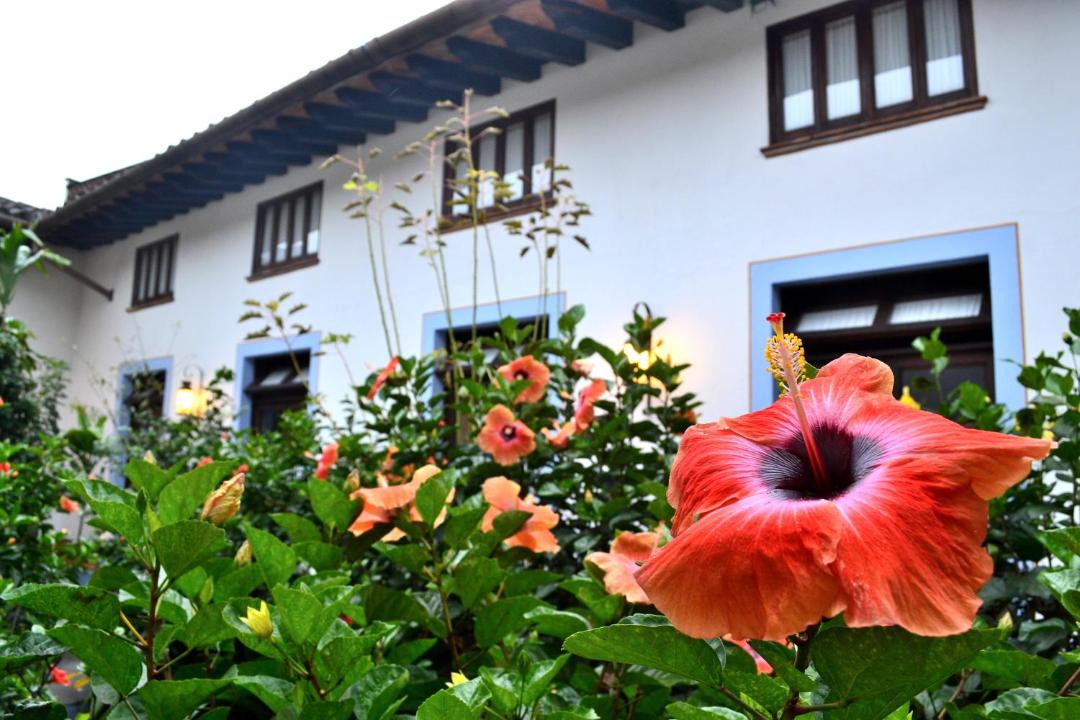 Photo of Others in Coatepec