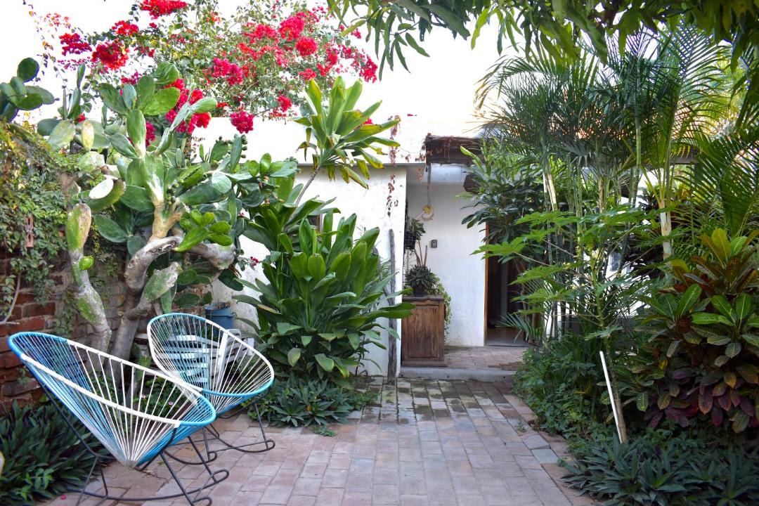 Photo of Others in Todos Santos
