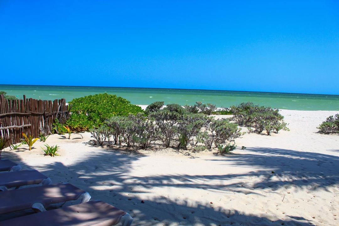 Photo of Others in Progreso Municipality