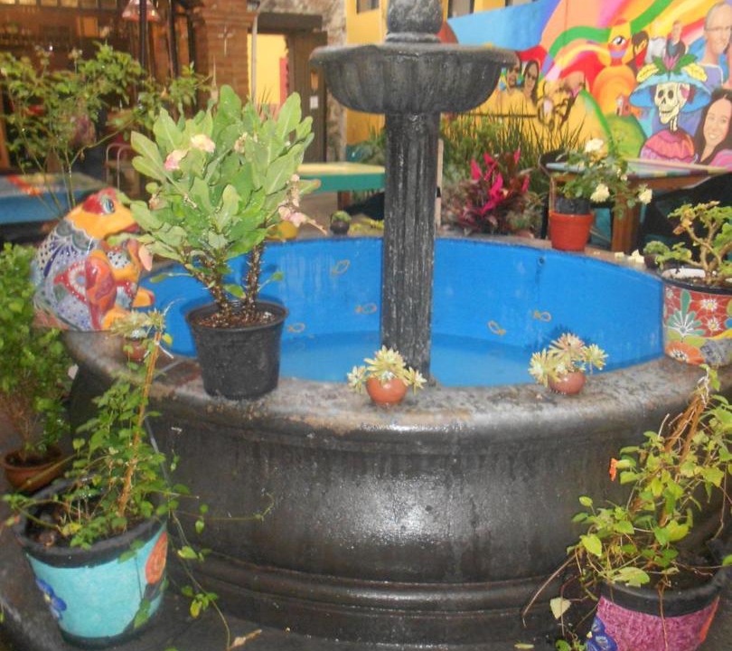Photo of Others in Colonia San Antonio