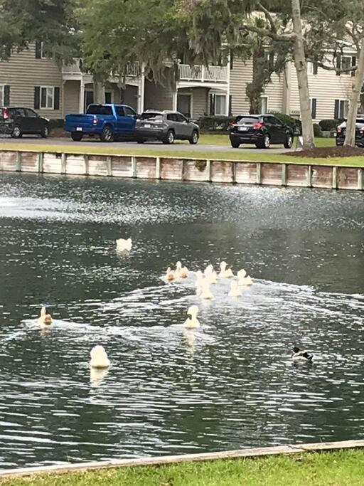 Photo of Others in Demere Park