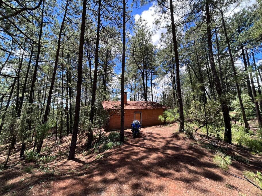 Photo of Buildings in Huasca De Ocampo