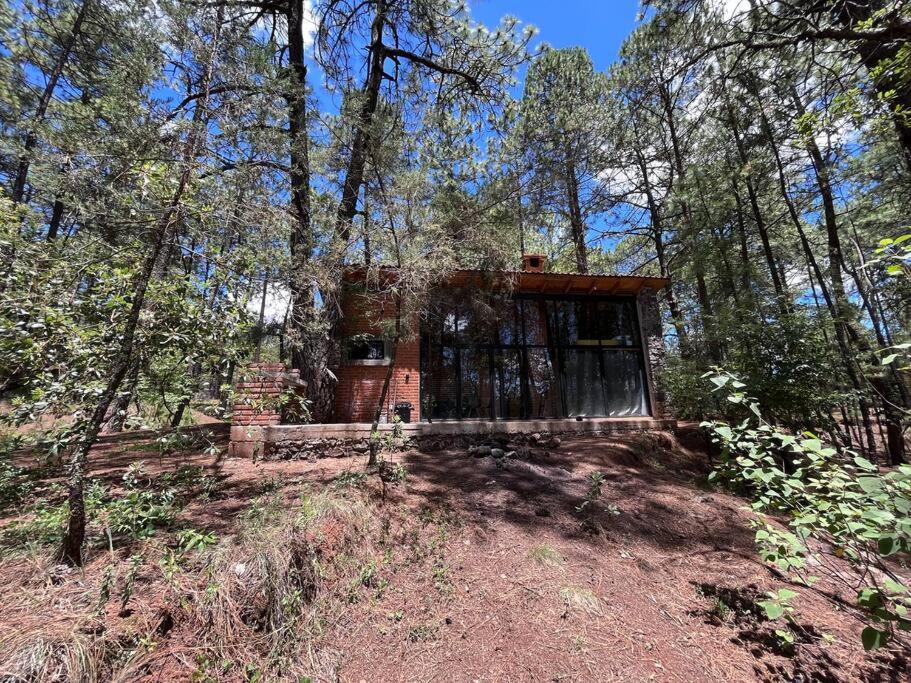 Photo of Buildings in Huasca De Ocampo
