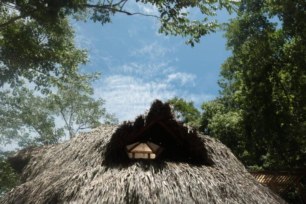 Photo of Outdoor in Mazunte