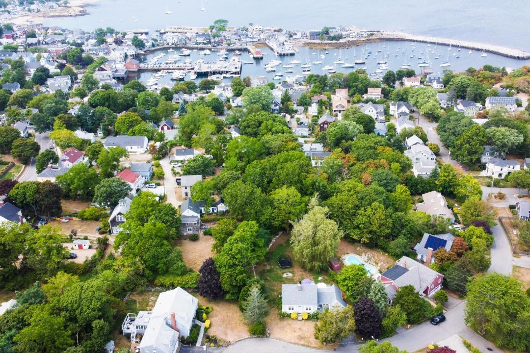Photo of Others in Rockport