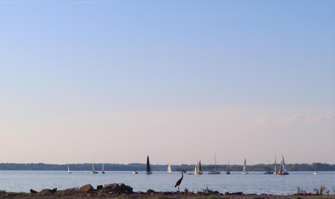 Photo of Others in Sandusky