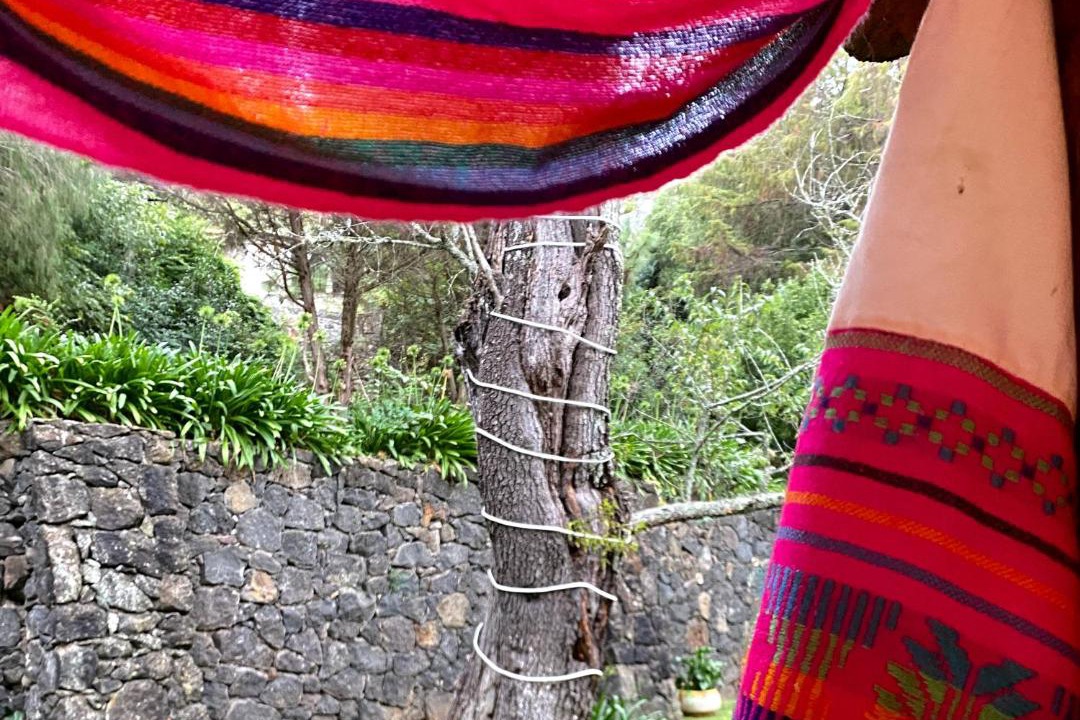 Photo of Others in Huasca De Ocampo