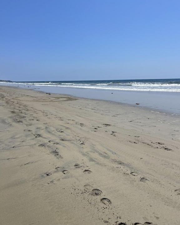 Photo of Outdoor in Playas de Rosarito