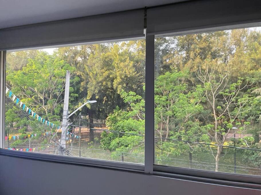 Photo of Others in Providencia