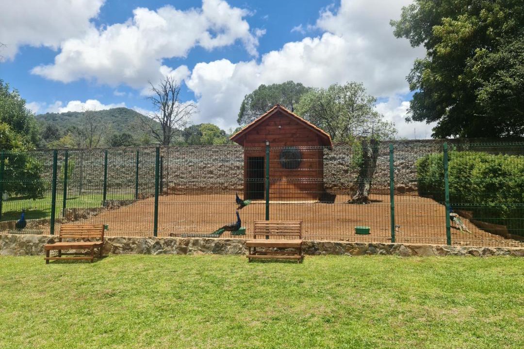 Photo of Others in Huasca De Ocampo