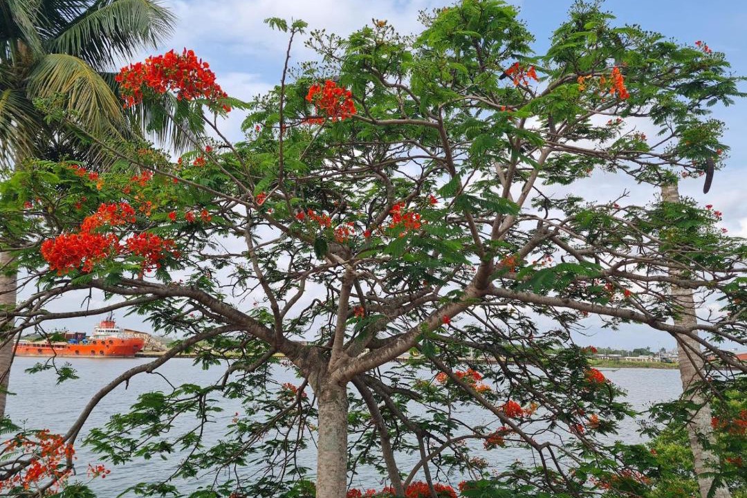 Photo of Others in Tuxpan