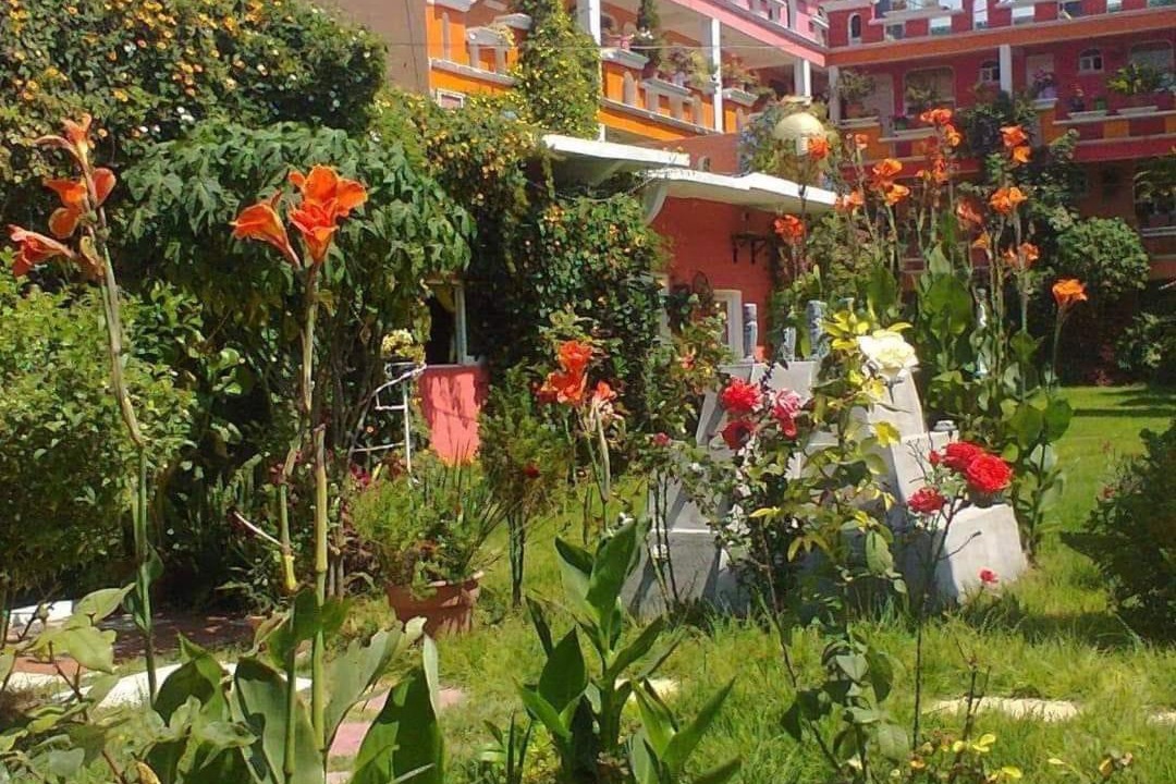 Photo of Others in Tula de Allende
