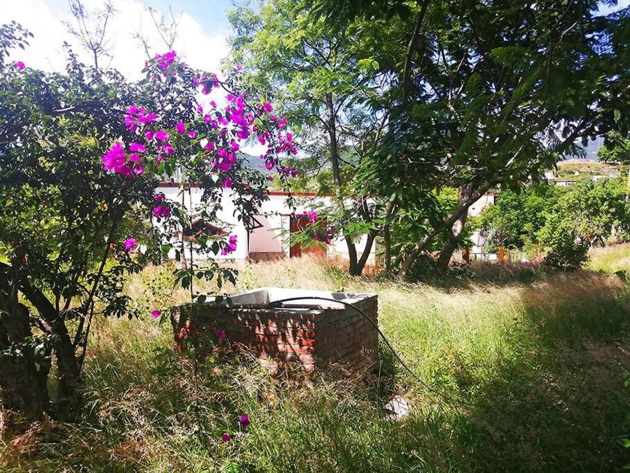 Photo of Others in Teotitlan del Valle