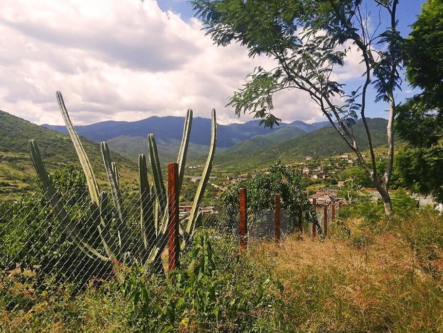 Photo of Others in Teotitlan del Valle