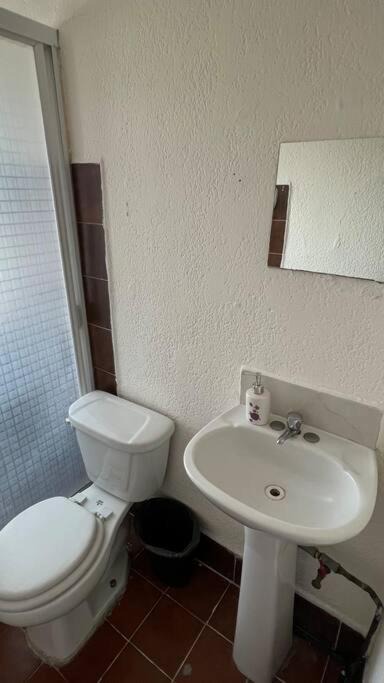 Photo of Bathroom in Downtown Queretaro