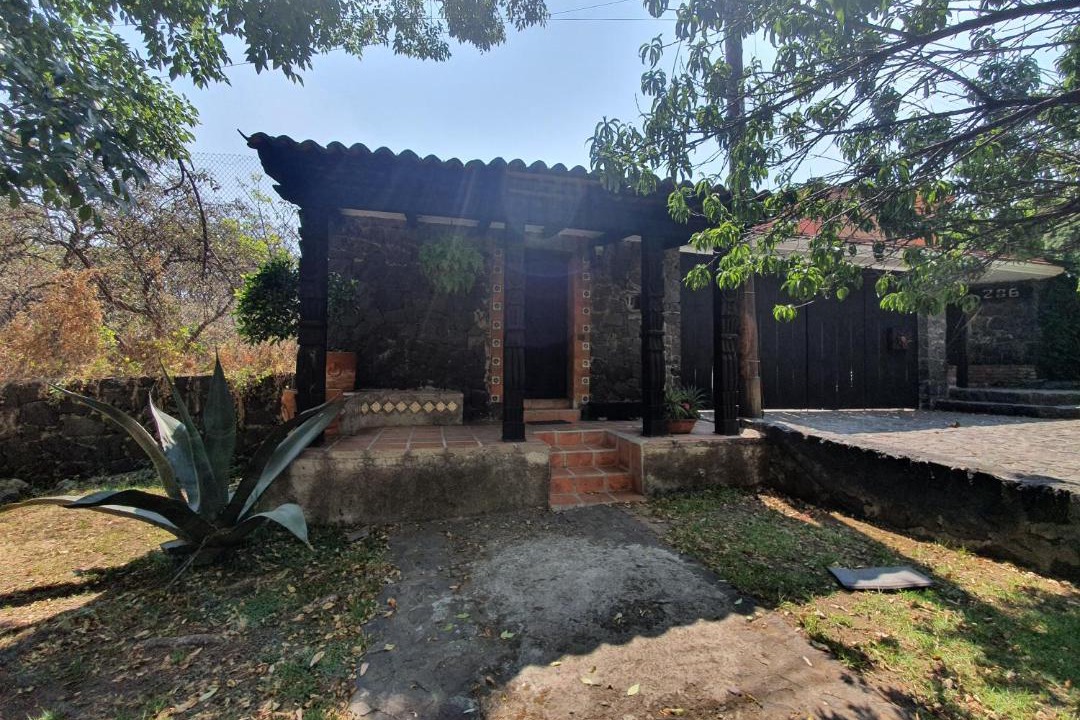 Photo of Others in Tlalpan