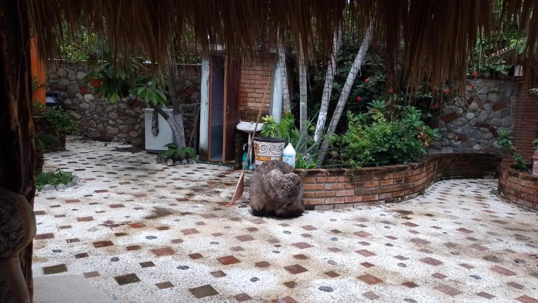 Photo of Others in Puerto Escondido