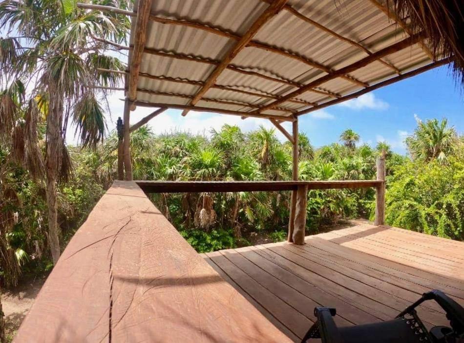 Photo of Patio Balcony in Cozumel
