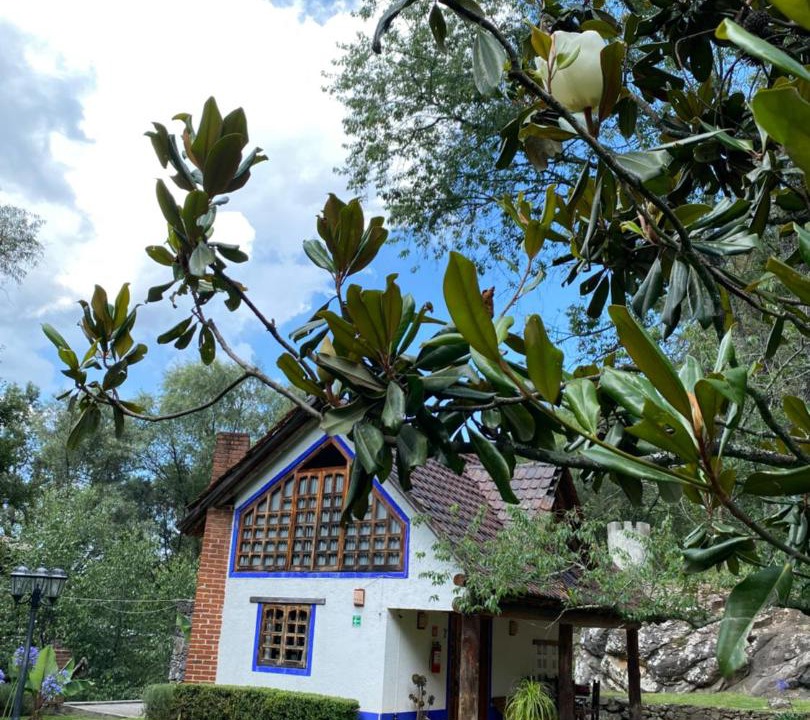 Photo of Others in Huasca De Ocampo
