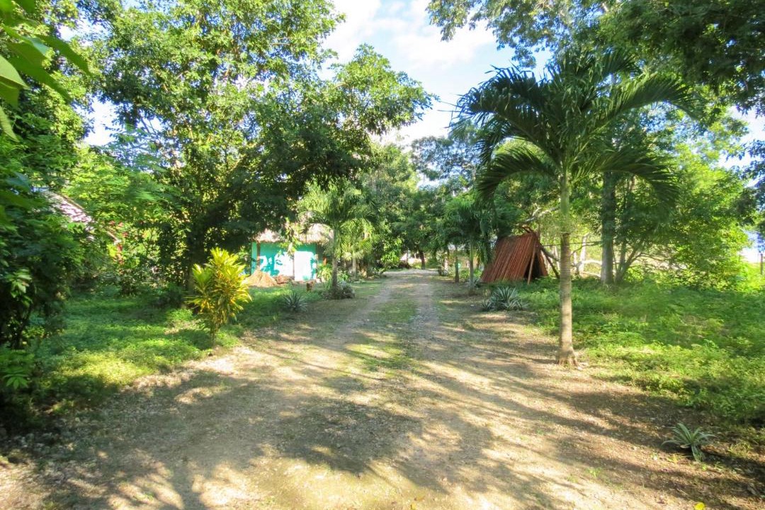 Photo of Outdoor in Conhuas