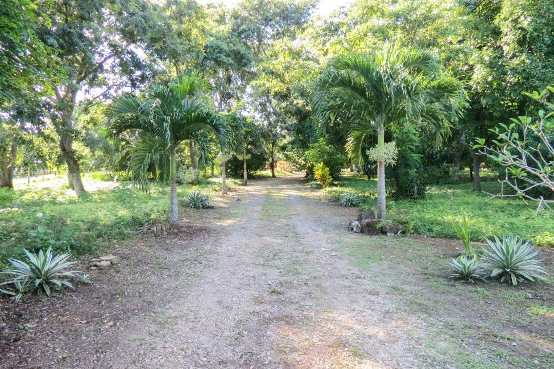 Photo of Outdoor in Conhuas