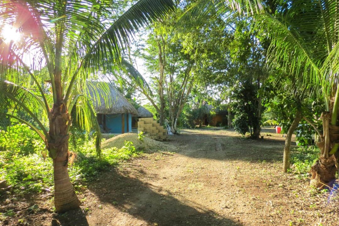 Photo of Others in Conhuas