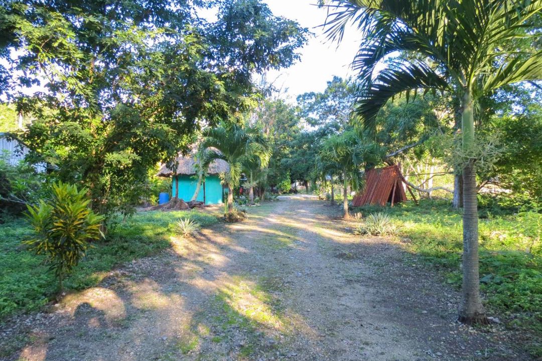Photo of Outdoor in Conhuas