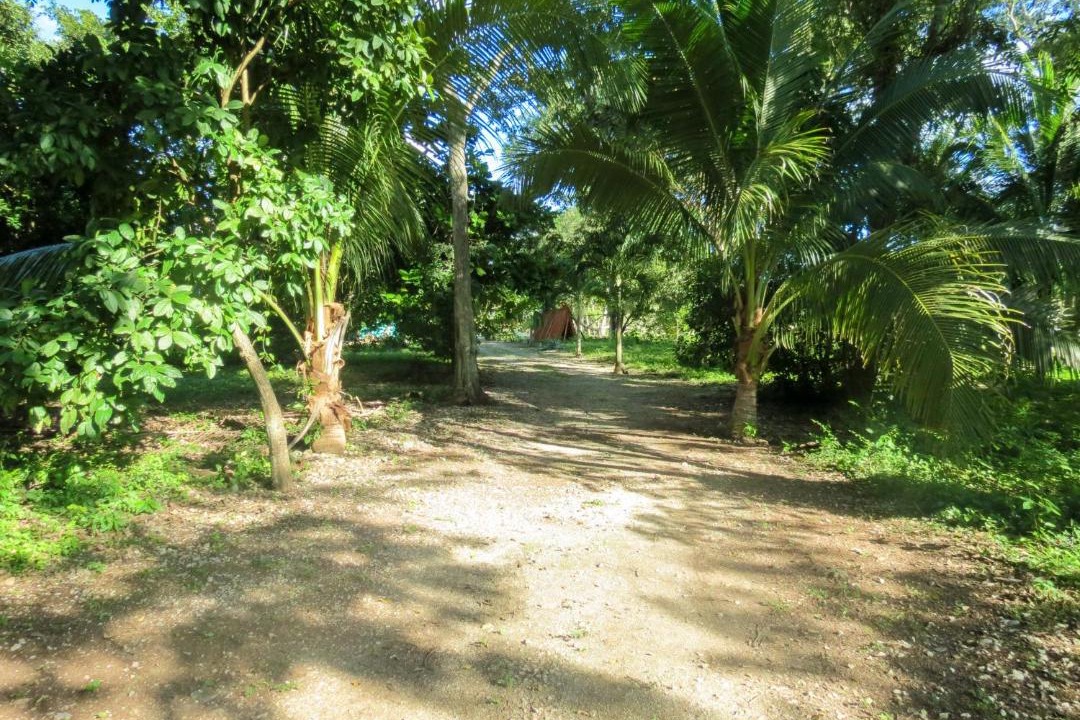 Photo of Outdoor in Conhuas