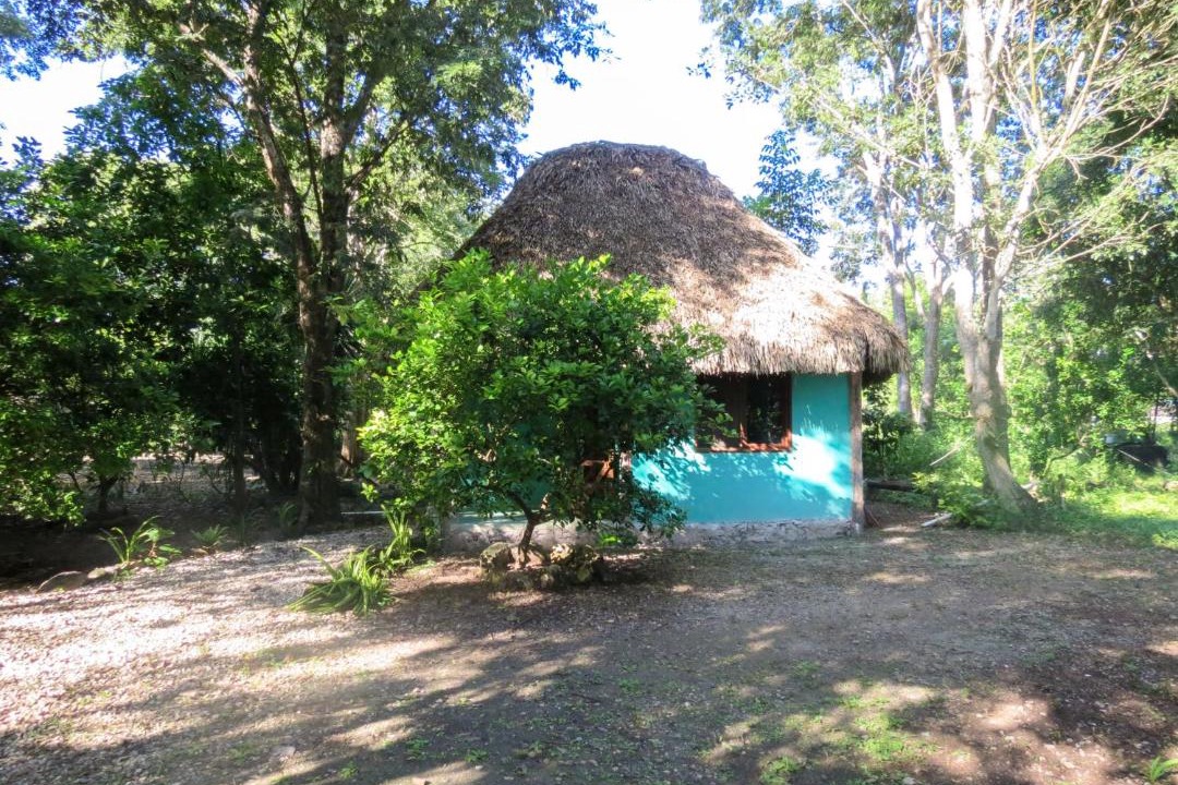 Photo of Outdoor in Conhuas