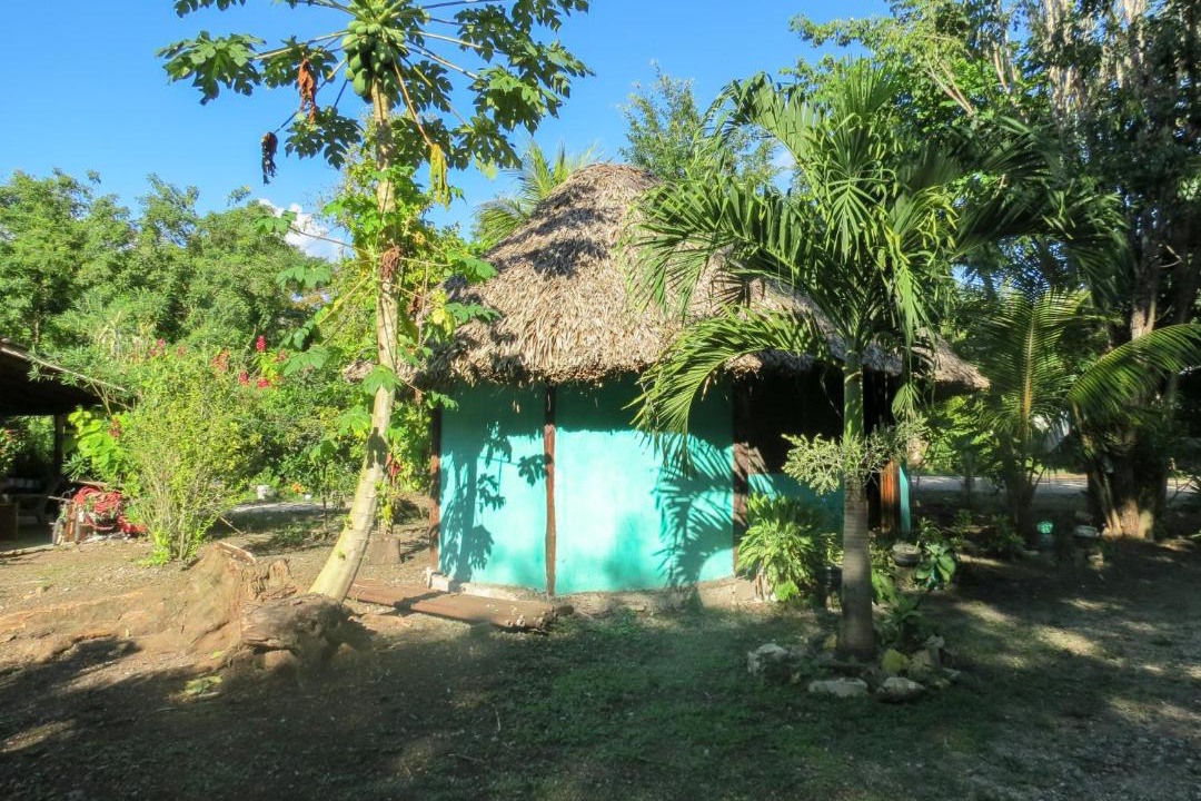 Photo of Others in Conhuas
