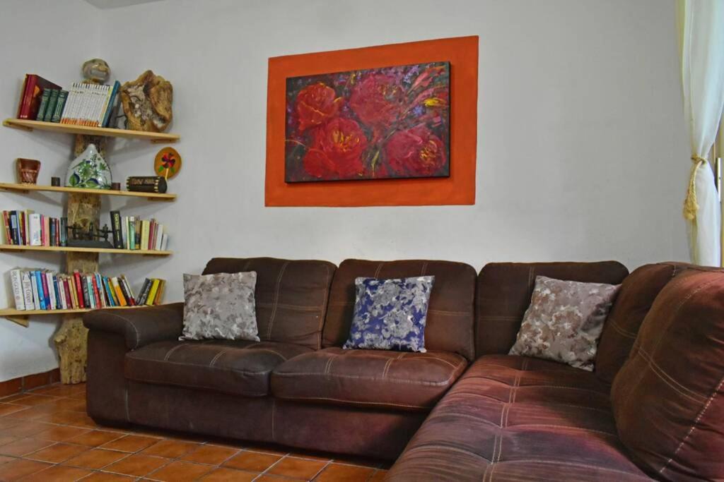 Photo of Others in Palmar de Aramara