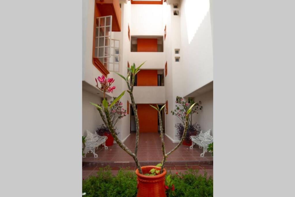 Photo of Others in Santa Maria Huatulco