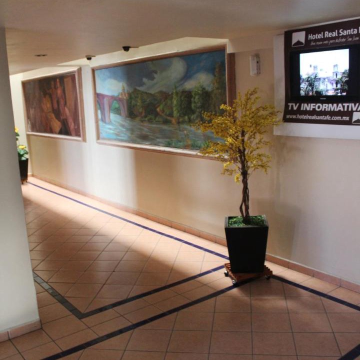 Photo of Others in San Juan de los Lagos